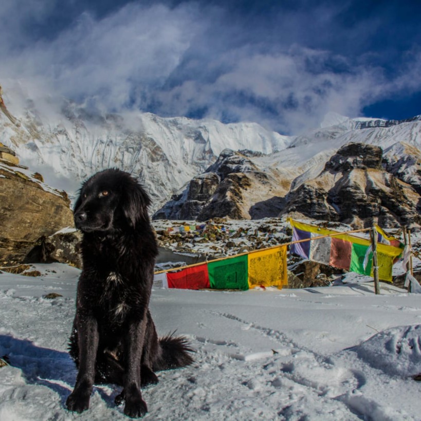 Viaje de Alma Tour Triangulo Dorado